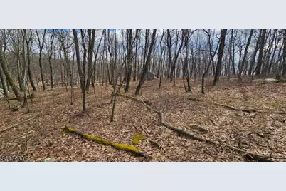 00 Upper Hibernia Rd, Rockaway Township, NJ 07866 - Photo 9