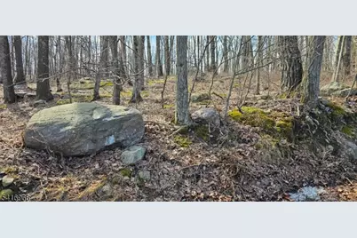 00 Upper Hibernia Rd, Rockaway Township, NJ 07866 - Photo 15