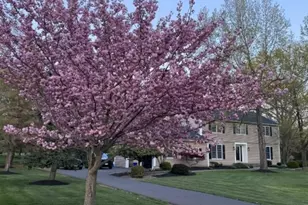 100 Knickerbocker Dr, Montgomery Township, NJ 08502 - Photo 41