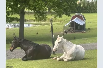 32 Millville Road, Montague, NJ 07827 - Photo 5