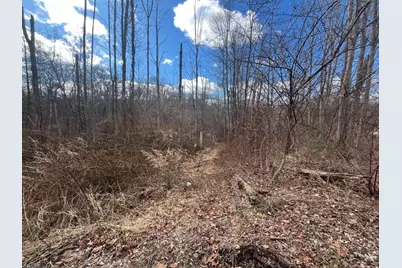 221 Old Center Grove Rd, Randolph Township, NJ 07869 - Photo 5