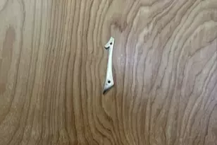 571 Avenue A, Bayonne, NJ 07002 - Photo 1