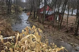 4 Mill St, Alexandria Township, NJ 08867 - Photo 13