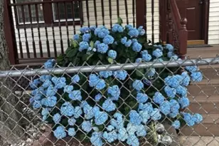 204 Central Ave, Passaic, NJ 07055 - Photo 23