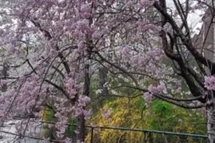 113 Tiffany Blvd, Newark, NJ 07104 - Photo 17