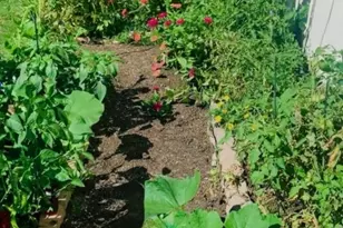 17 Frederick Pl, Hanover Township, NJ 07927 - Photo 25