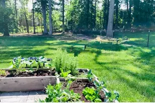 17 Frederick Pl, Hanover Township, NJ 07927 - Photo 27