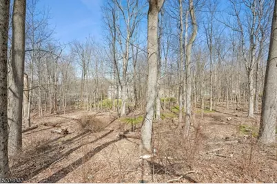 31 Branko Road, Berkeley Heights Township, NJ 07922 - Photo 35