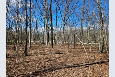 33 Featherbed Ln, Raritan Township, NJ 08822 - Photo 3