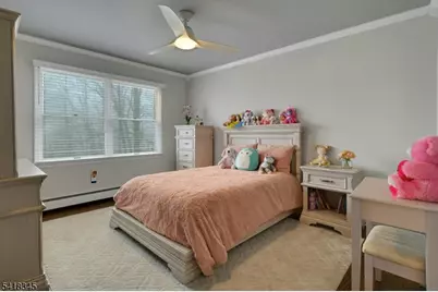 3 Esther Ct, Chester, NJ 07930 - Photo 31