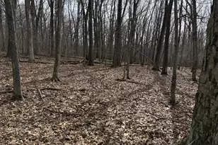 162 North Rd, Chester, NJ 07930 - Photo 1