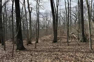 162 North Rd, Chester, NJ 07930 - Photo 3