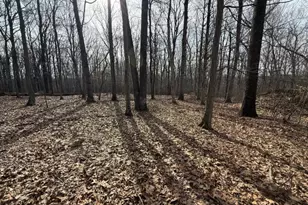 164 North Rd, Chester, NJ 07930 - Photo 1