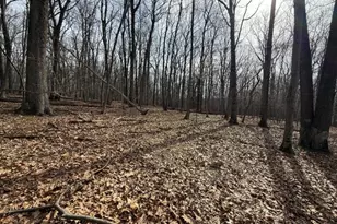 164 North Rd, Chester, NJ 07930 - Photo 3