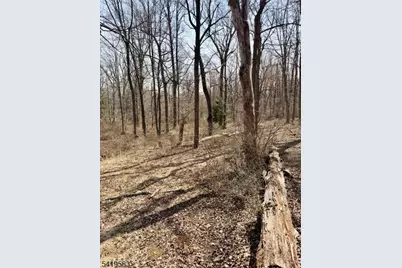 10 Loantaka Ln, Chatham Township, NJ 07960 - Photo 7