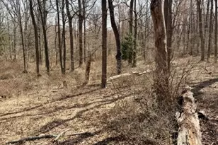 10 Loantaka Ln, Chatham Township, NJ 07960 - Photo 7