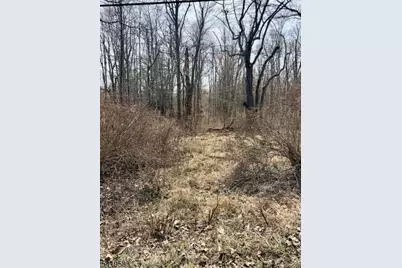 10 Loantaka Ln, Chatham Township, NJ 07960 - Photo 5