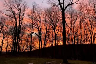 5 Buddy Ln, Mendham Township, NJ 07960 - Photo 47