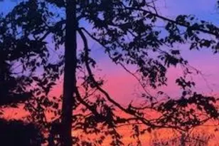 1044 Summit Ln, Mountainside, NJ 07092 - Photo 29