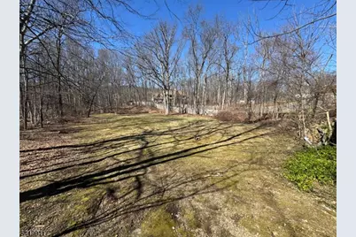 117 Weldon Rd, Jefferson Township, NJ 07849 - Photo 29