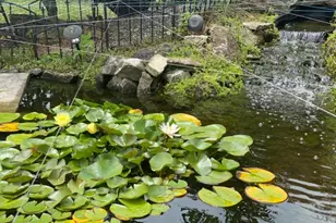 57 Briarwood Dr, Warren Township, NJ 07059 - Photo 43