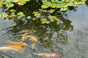 57 Briarwood Dr, Warren Township, NJ 07059 - Photo 43