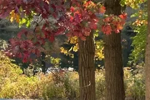 107 Franklin Ct, Raritan Township, NJ 08822 - Photo 31