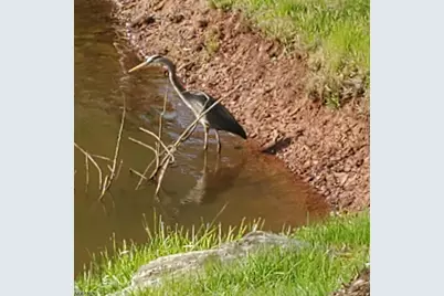 314 Biltmore Ln, Franklin Township, NJ 08873 - Photo 45