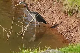 314 Biltmore Ln, Franklin Township, NJ 08873 - Photo 45