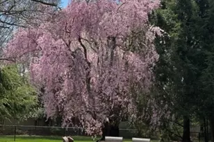 447 Rockaway Valley Rd, Boonton Township, NJ 07005 - Photo 21