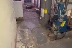 22 Woodland Ave, Jersey City, NJ 07305 - Photo 9