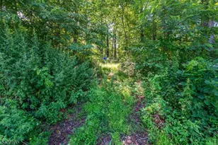 30 & 31 E Shore Culver Rd, Frankford Township, NJ 07826 - Photo 11