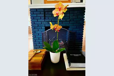 3 Laurel Pl, Glen Ridge, NJ 07028 - Photo 3