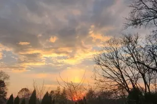 4 Greenbrier Rd, Green Brook Township, NJ 08812 - Photo 31