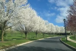 692 Honeybrook Cir, Lopatcong Township, NJ 08886 - Photo 17