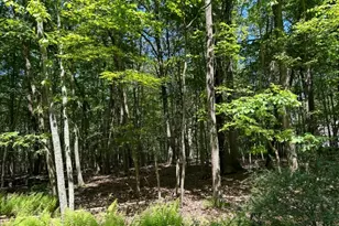 0 Devita Rd, Sandyston Township, NJ 07826 - Photo 3