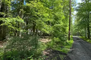 0 Devita Rd, Sandyston Township, NJ 07826 - Photo 1