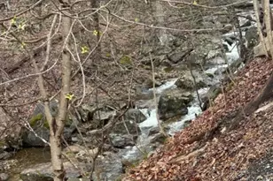 120 Millbrook Rd, Franklin Township, NJ 07882 - Photo 1