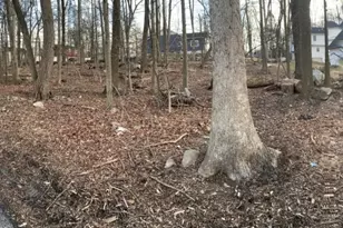 48 Mountain Rd, Hopatcong, NJ 07843 - Photo 1