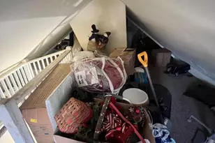 438 W 2nd St, Plainfield, NJ 07060 - Photo 13