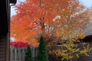 54 Holly Ct, Edison, NJ 08820 - Photo 43