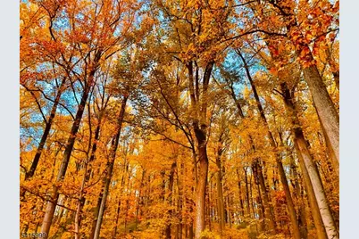 95A Dreahook Rd, Readington, NJ 08833 - Photo 29