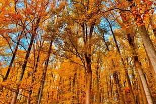 95 A Dreahook Rd, Readington, NJ 08833 - Photo 29