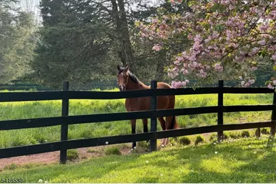 1015 Cherry Hill Rd, Montgomery Township, NJ 08540 - Photo 7