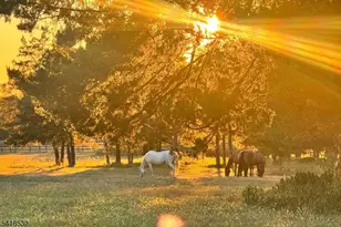 1015 Cherry Hill Rd, Montgomery Township, NJ 08540 - Photo 35