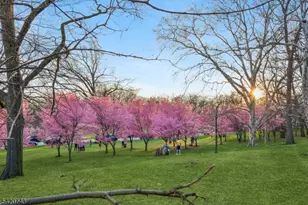 375 Mt Prospect Ave, Newark, NJ 07104 - Photo 33