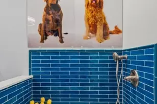 9 King Hill Ct, Morris Township, NJ 07960 - Photo 29