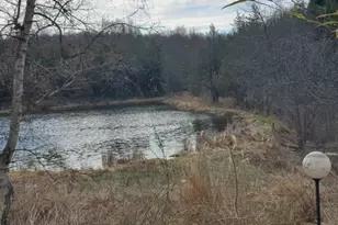 54 Lincoln Laurel Rd, Frelinghuysen Township, NJ 07825 - Photo 21