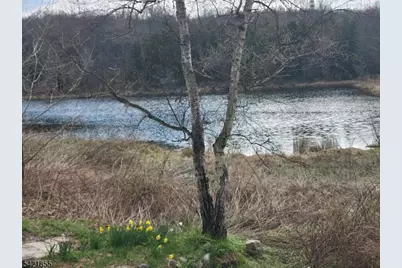 54 Lincoln Laurel Rd, Frelinghuysen Township, NJ 07825 - Photo 19