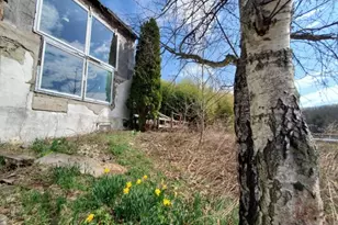 54 Lincoln Laurel Rd, Frelinghuysen Township, NJ 07825 - Photo 3